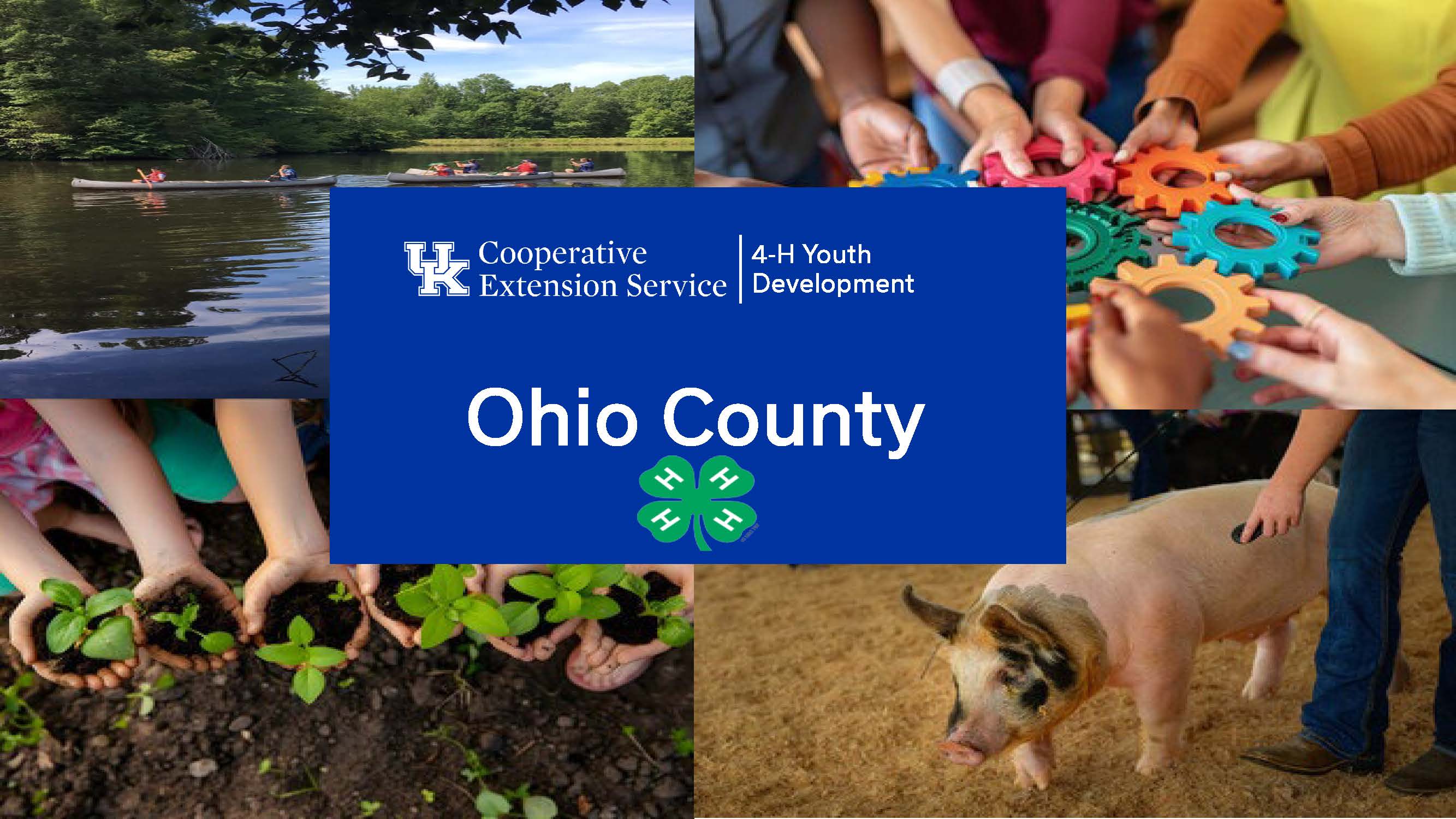https://ohio.mgcafe.uky.edu/sites/ohio.ca.uky.edu/files/october2025%20newsletter_0.pdf